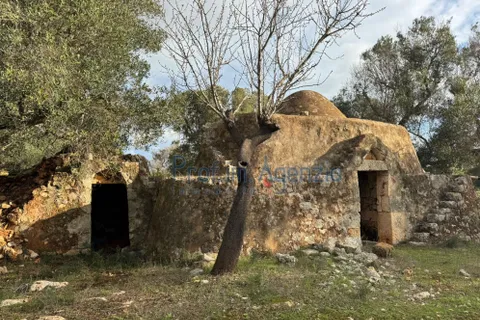 Landejendom i Carovigno, Brindisi, Carovigno - € 54.000 | Ref: 122834 - foto 2